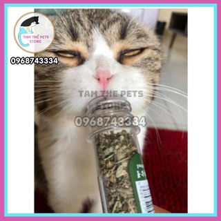 Cỏ bạc hà mèo ống 20g cho mèo