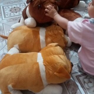 Thú bông: chó pug mặt xệ sz 40 cm
