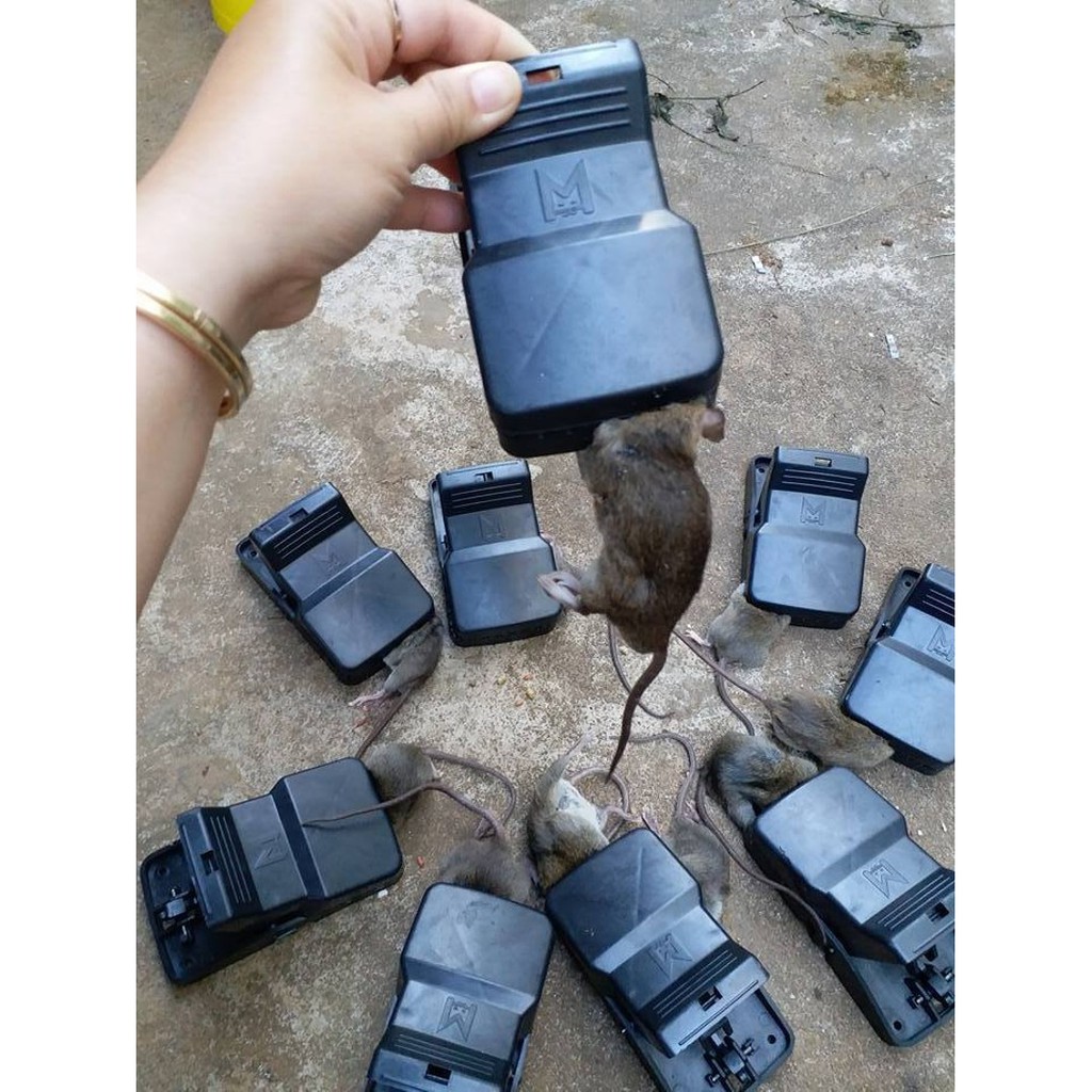 [SIÊU SALE]Bẫy chuột thông minh