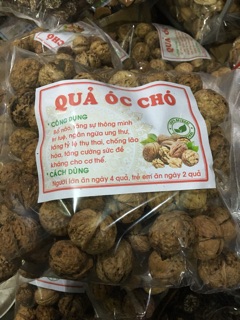 🌿 Óc Chó Nếp Tây bắc 🌿
