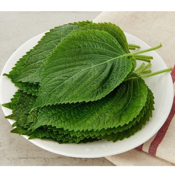 Hạt Giống Lá Mè Hàn Quốc (Rau Thơm Mè/Vừng Hàn Quốc) Chuyên Ăn Nướng