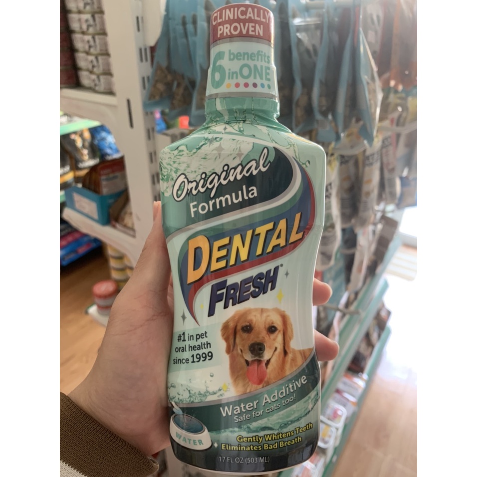 DENTAL FRESH - DUNG DỊCH VỆ SINH CHO THÚ CƯNG chai 500ml