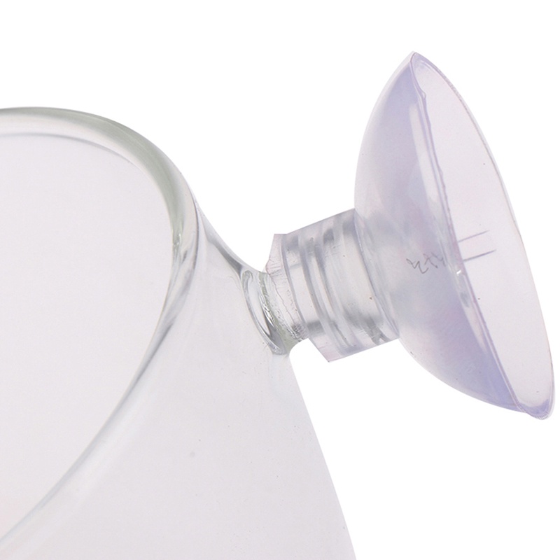 Cốc Thủy Tinh Mini Dùng Để Trồng Cây Thủy Sinh Trong Bể Cá