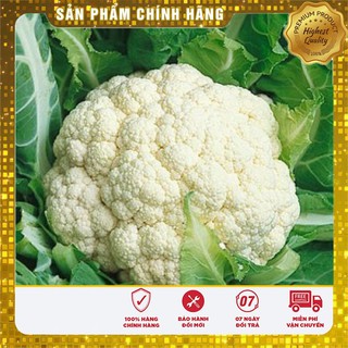 Hạt Giống Súp Lơ Trắng F1