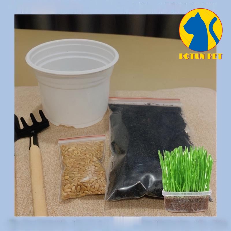 Bộ Kit Trồng Cỏ Mèo Tươi Tại Nhà, Combo Cỏ Lúa Mì Cho Mèo (Hạt Giống - Chậu - Đất)
