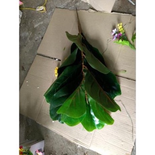 Cây bàng singapo giả cảnh 50cm