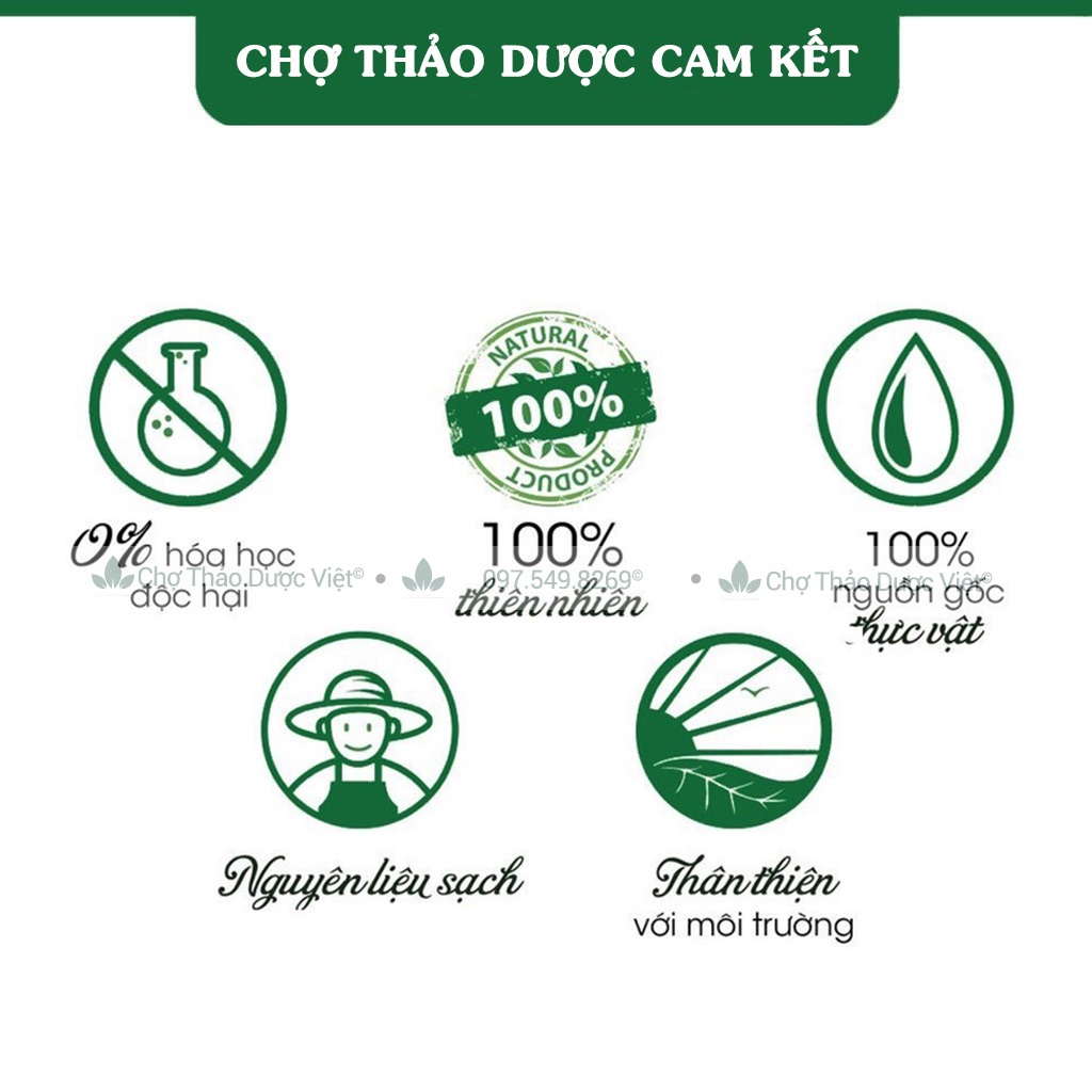 Trà bổ thận dương túi lọc  - Chợ Thảo Dược Việt