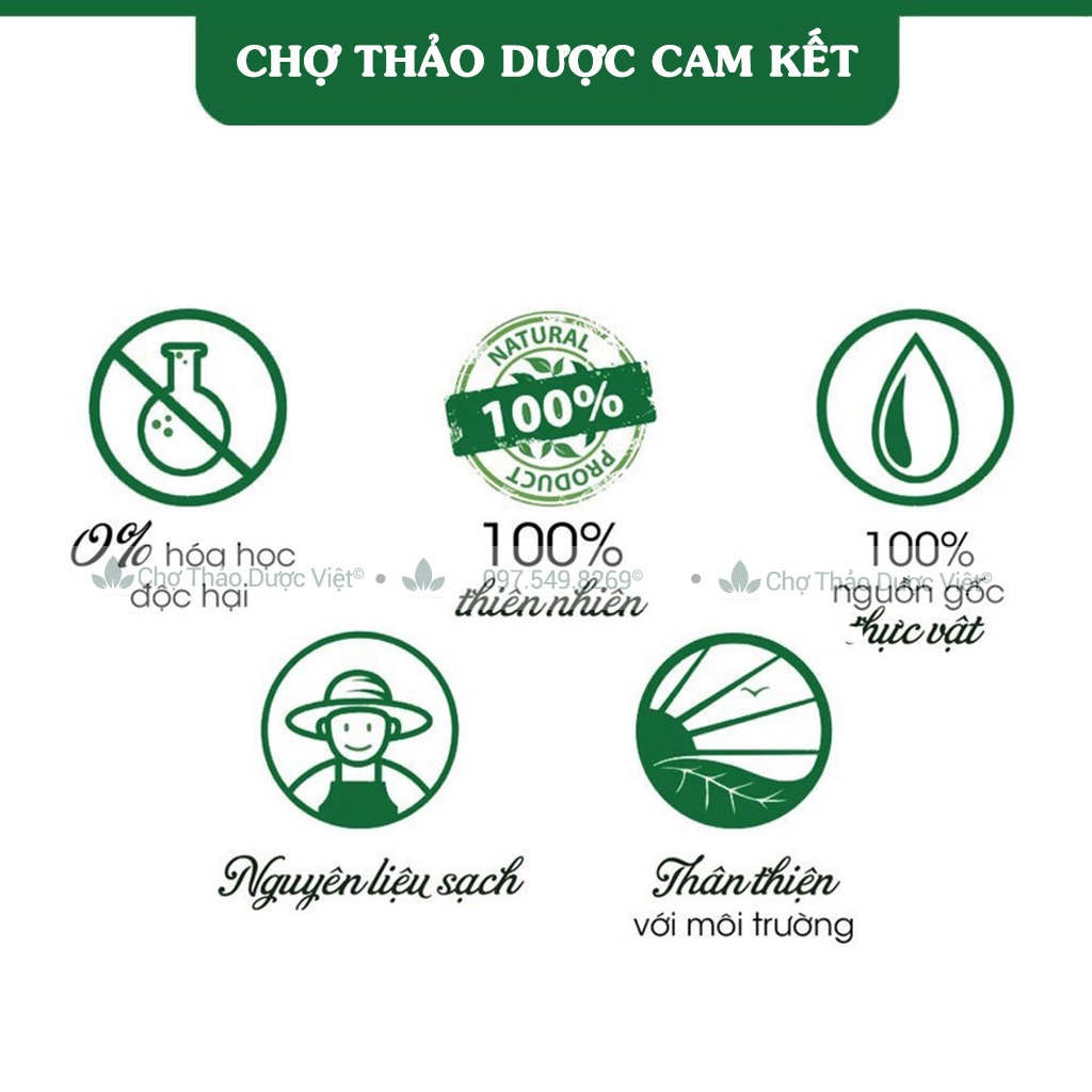 Trà giảm cân túi lọc (Đẩy lùi mỡ bụng, mỡ đùi, thanh nhiệt cơ thể) - Chợ Thảo Dược Việt