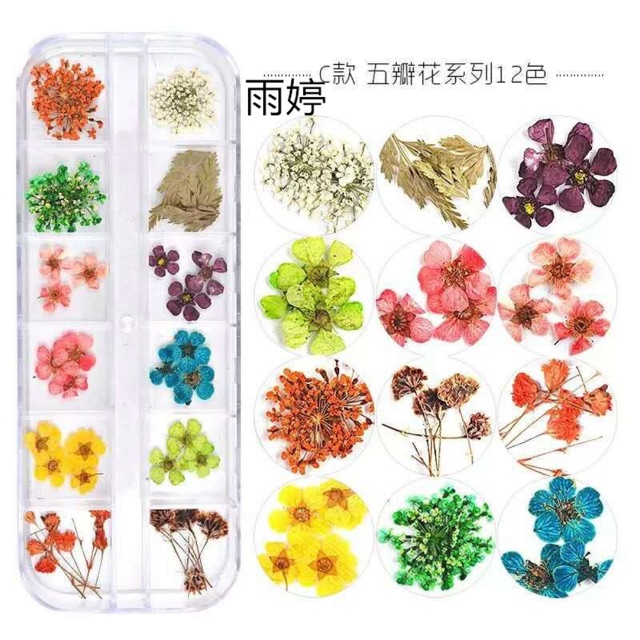 Hoa khô trang trí móng 12 màu