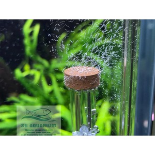 Sủi Co2 Neo (loại ngắn)