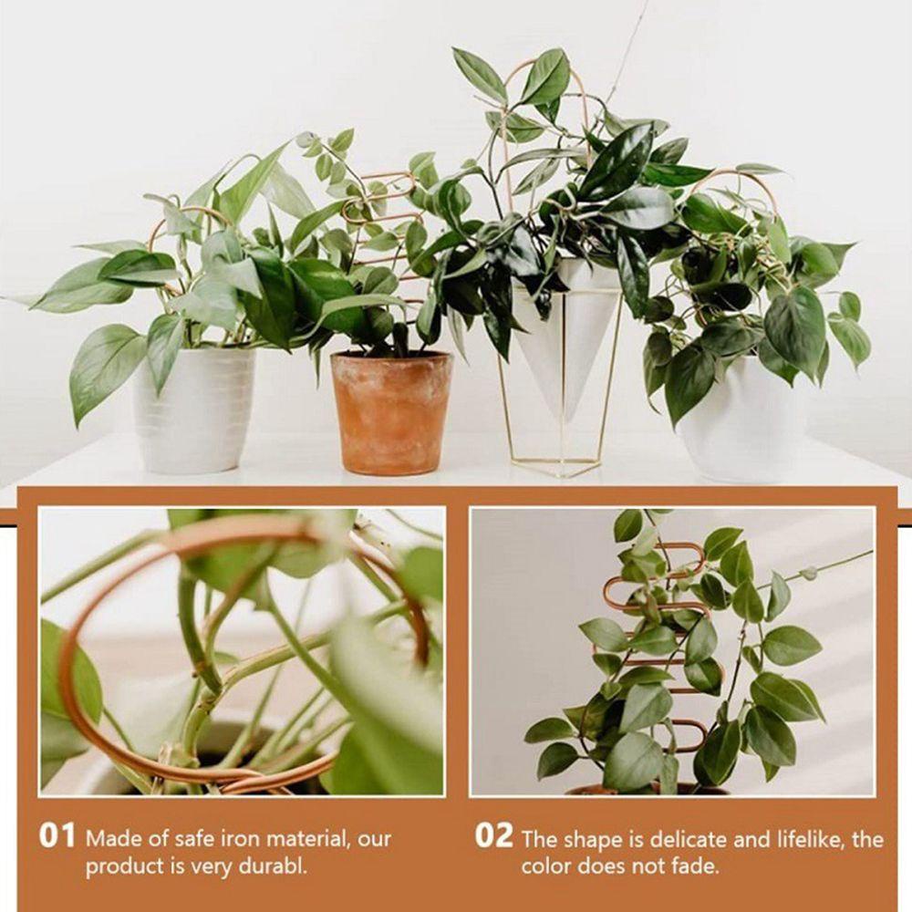 Giá Đỡ Trồng Cây Bằng Kim Loại Chống Rỉ Đa Năng