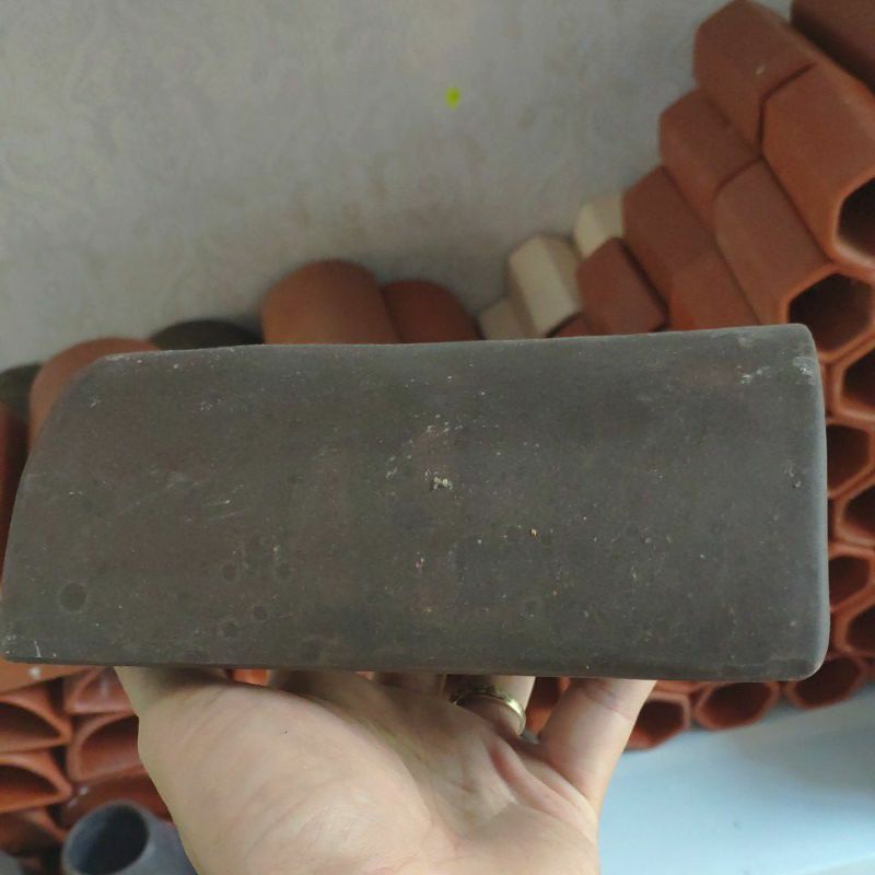 Hang gốm vòm to Pleco size 15 - 17cm