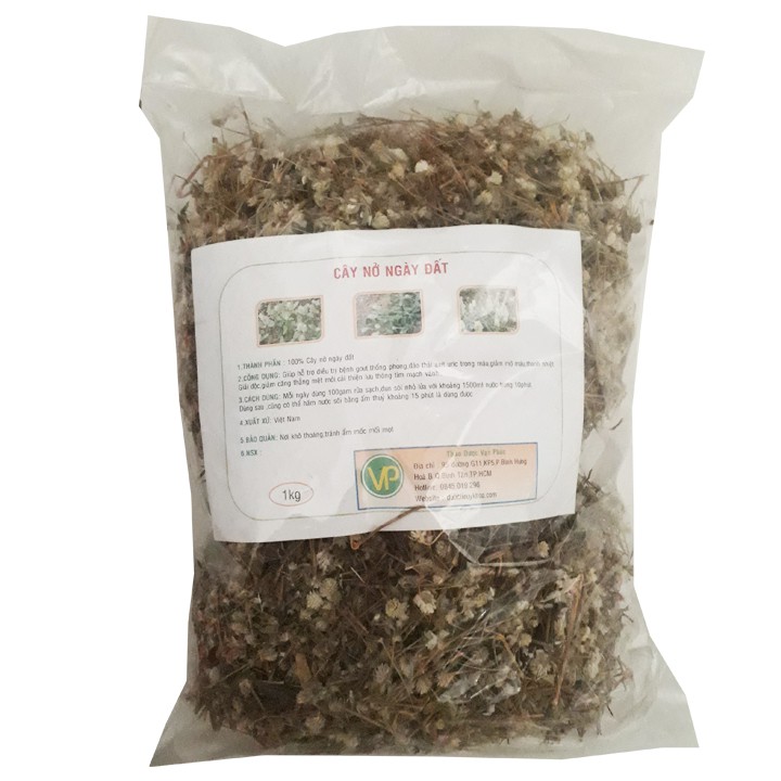 Cây nở ngày đất 1kg
