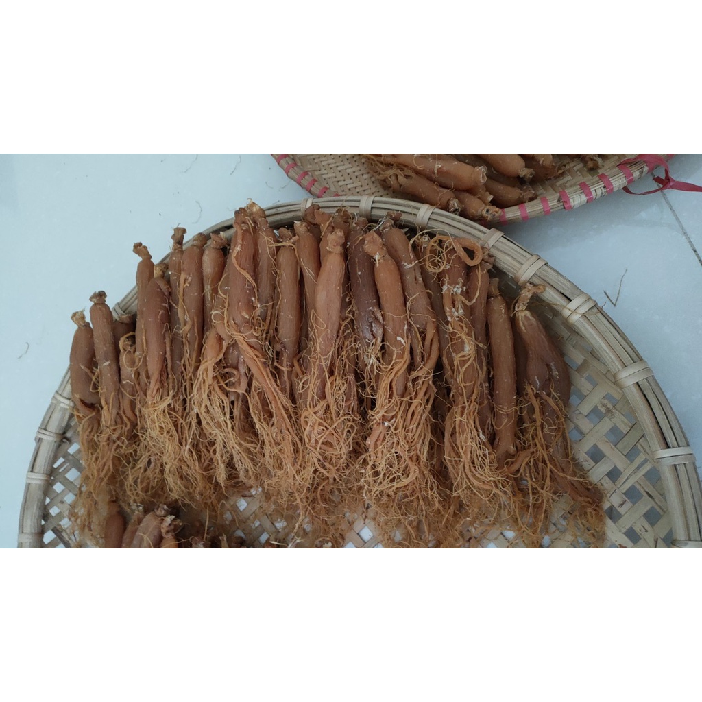 NHÂN SÂM (1 củ  NHỊ HỒNG SÂM) sấy khô củ 25-30gr dẻo thơm ngon dễ ăn bổ dưỡng tăng cường sức khỏe | BigBuy360 - bigbuy360.vn