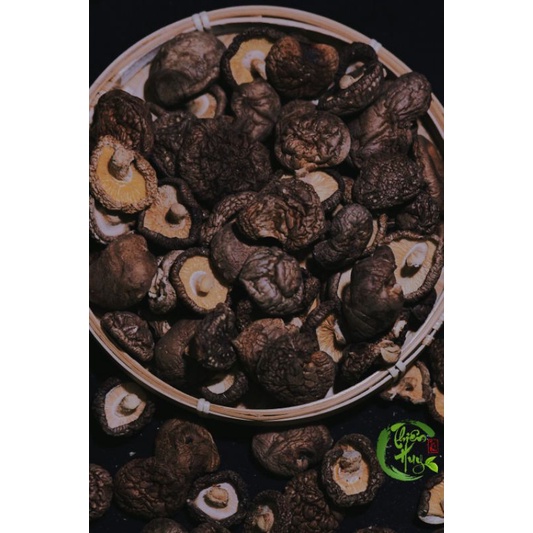 SỈ NẤM ĐÔNG CÔ (TAI TO, TRÒN ĐỀU 3cm - 4cm)