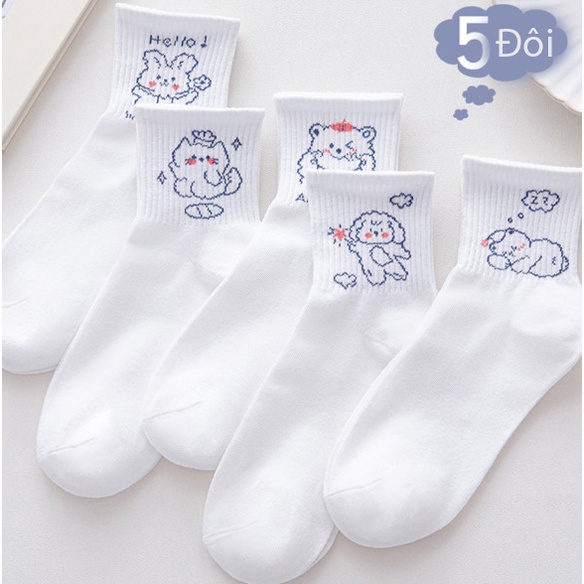 Tất Vớ Ngắn Cổ Nam Nữ - Vớ Nữ Màu Trắng Họa Tiết Mèo Gấu KaWai  Unisex Chất Liệu Vải Mềm