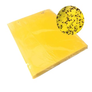 Combo 10 miếng bẫy dính ruồi vàng, dính côn trùng 2 mặt siêu dính 20x25cm