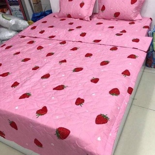 Bộ chăn ga gối cotton poly m8 luôn mềnh
