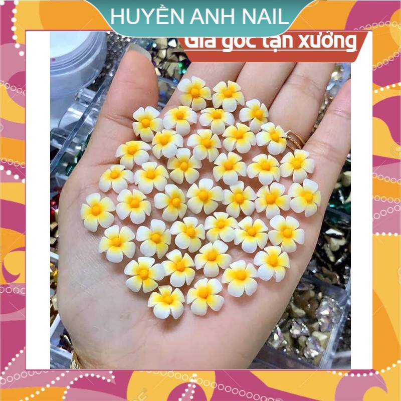 Hoa bột - Hoa sứ SHOP NAIL HUYỀN ANH
