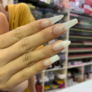 (Tặng kèm dũa và keo mini) Nail Box, Mẫu Y Hình
