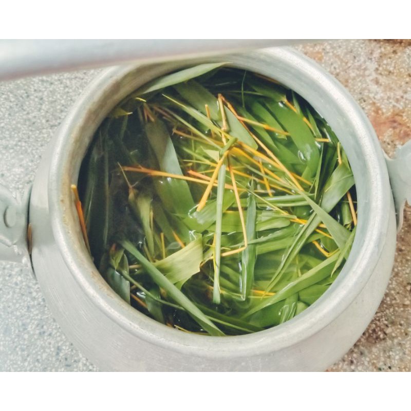 500gr Lá tre gai tươi/ lá tre gai rừng chuẩn
