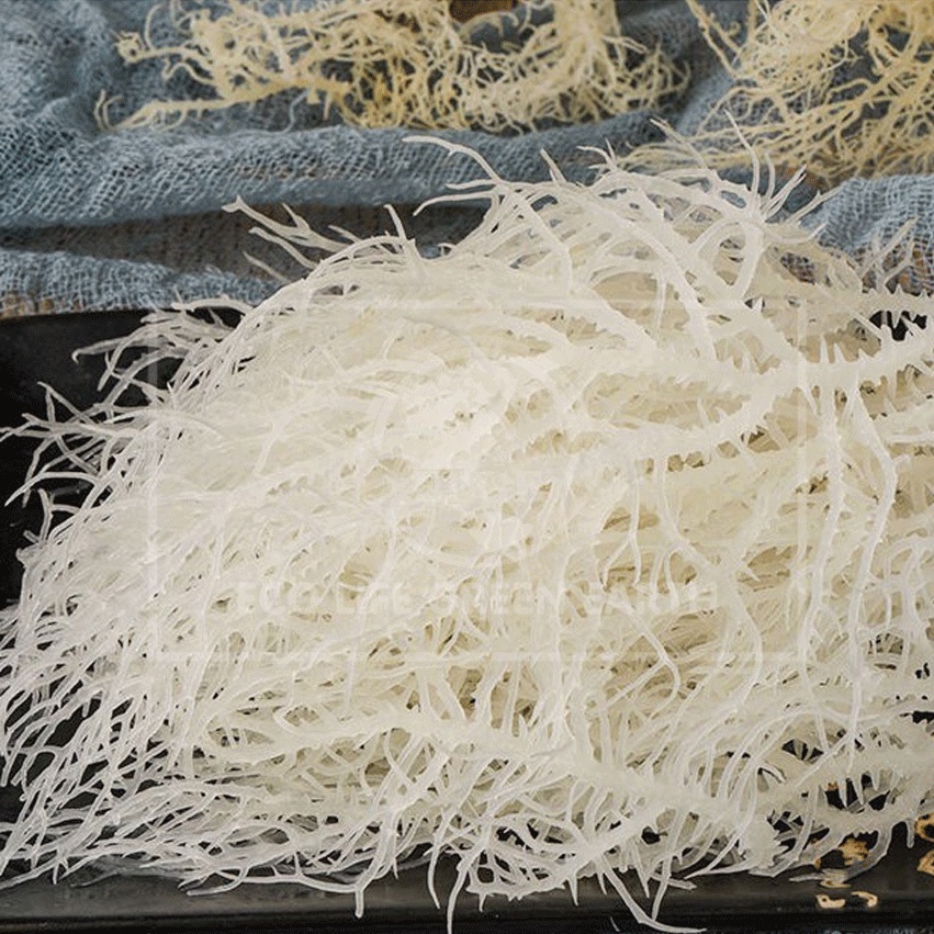Rong sụn biển thiên nhiên Nha Trang trắng khô ☘Gói 100 gr, 200 gr, 500 gr