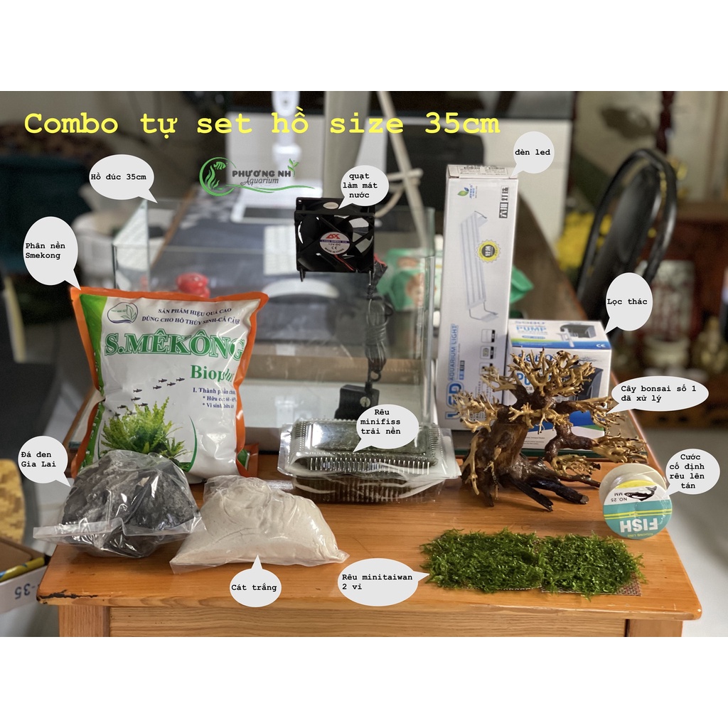 Cây bonsai thuỷ sinh số 1