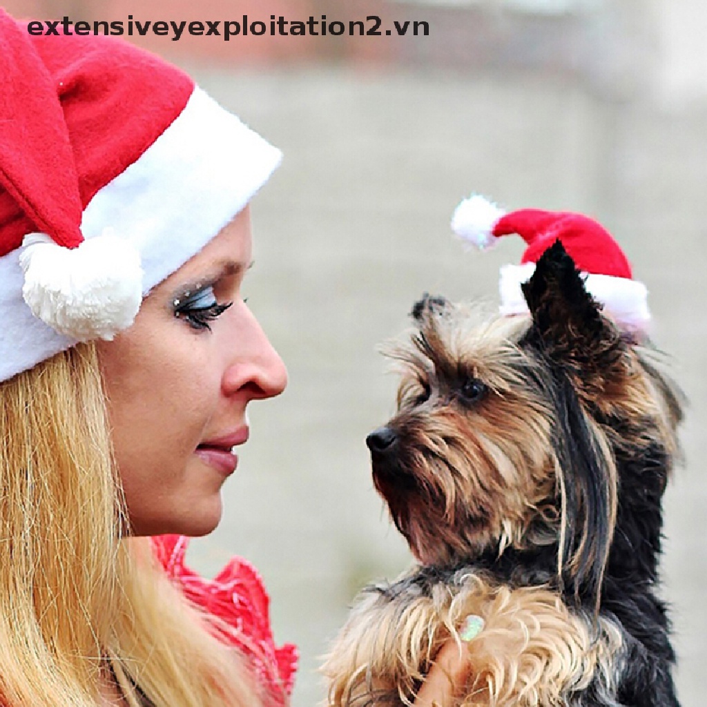 Bộ 2 nón ông già Noel cho thú cưng
