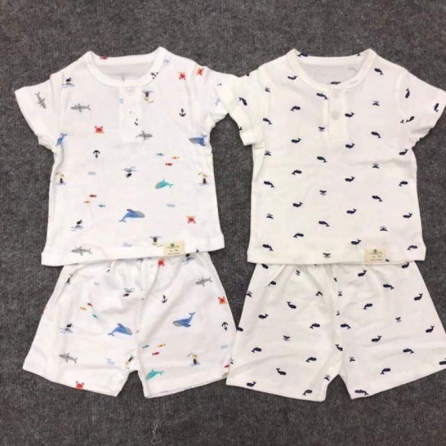 Bộ litibaby cộc_ vân anh