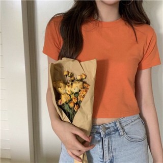 Áo phông dáng croptop siêu xinh
