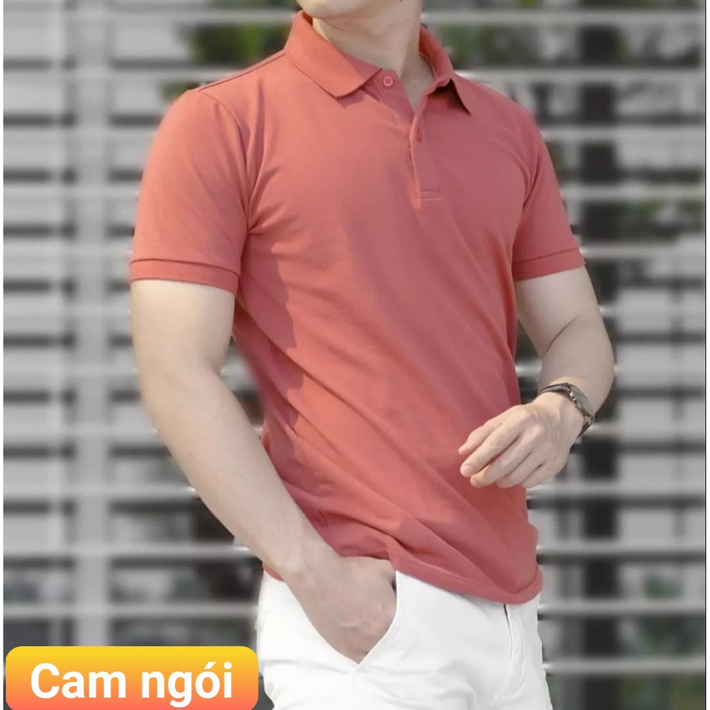 Áo thun có cổ viền tay lỡ cao cấp POLO made in Việt Nam | BigBuy360 - bigbuy360.vn