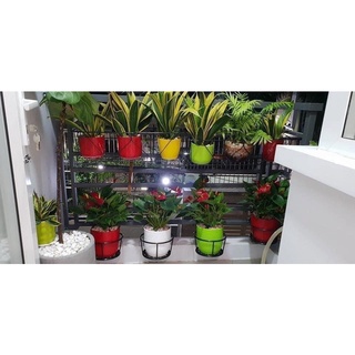 Giá đỡ chậu cây cảnh treo lan can