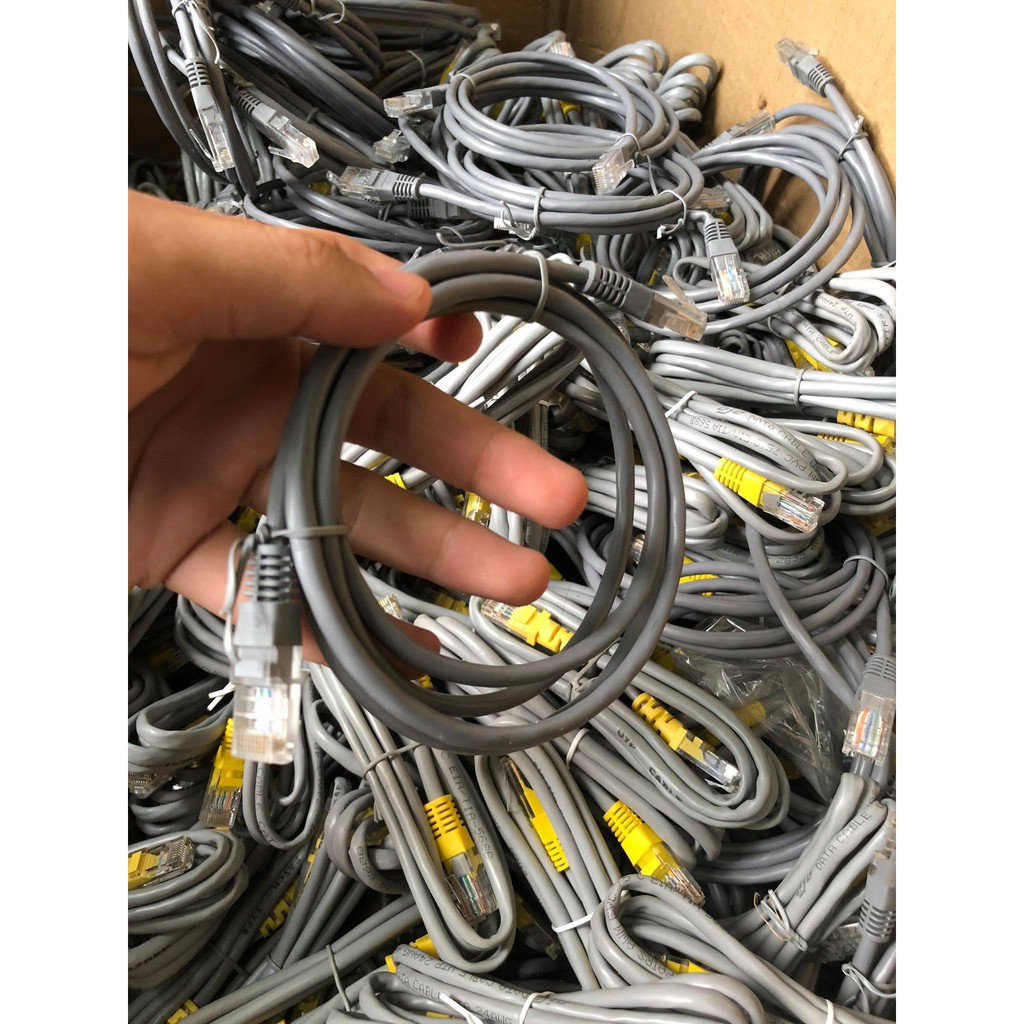 Dây Mạng 1M | BigBuy360 - bigbuy360.vn