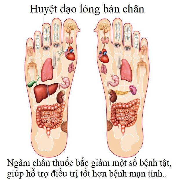 50 Miếng Dán Ngải Cứu Thải Độc Chân LBK
