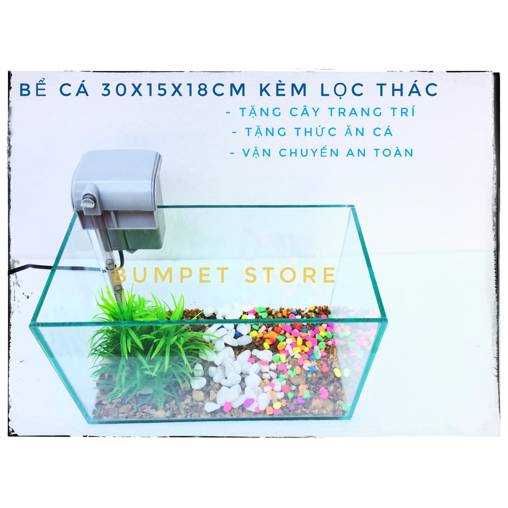 🐟 Bể cá mini 🐟 và lọc thác treo size 30cm [Tặng kèm phụ kiện và đồ ăn cá]