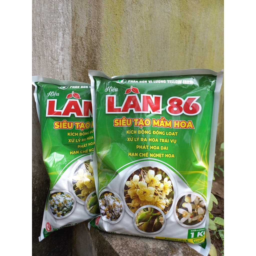 LÂN 86 - TẠO MẦM HOA, KÍCH RA HOA ĐỒNG LOẠT