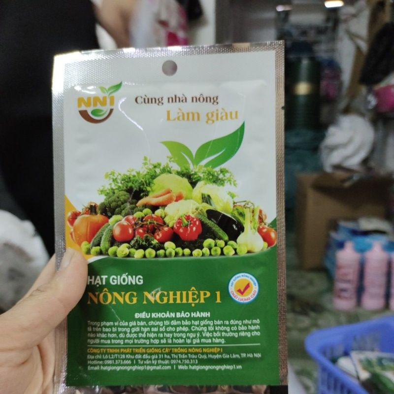 HẠT GIỐNG CẢI CANH HỒNG KÔNG LOẠI ĐẶC BIỆT