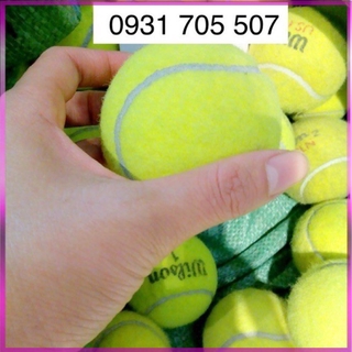 Bóng Tennis Cũ, Tuyển Lựa Kỹ - RaySPORT
