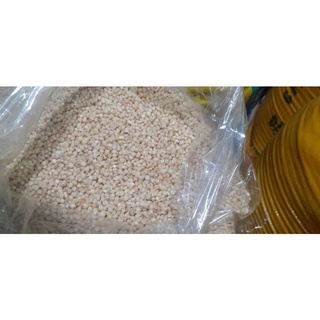 Hạt bo bo (hạt ý dĩ)