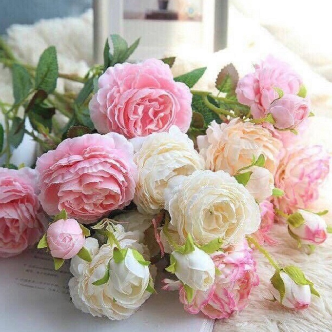 Hoa hồng mẫu đơn quý tộc ao cấp 1 Cành hoa 3 bông No.101153