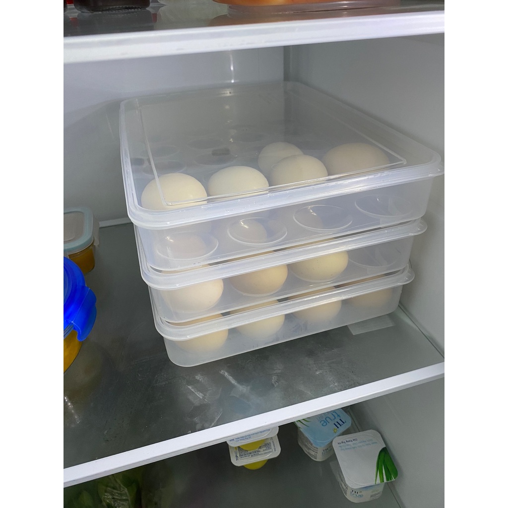 Khay đựng trứng , hộp đựng trứng 24 quả nhựa Việt Nhật trong suốt