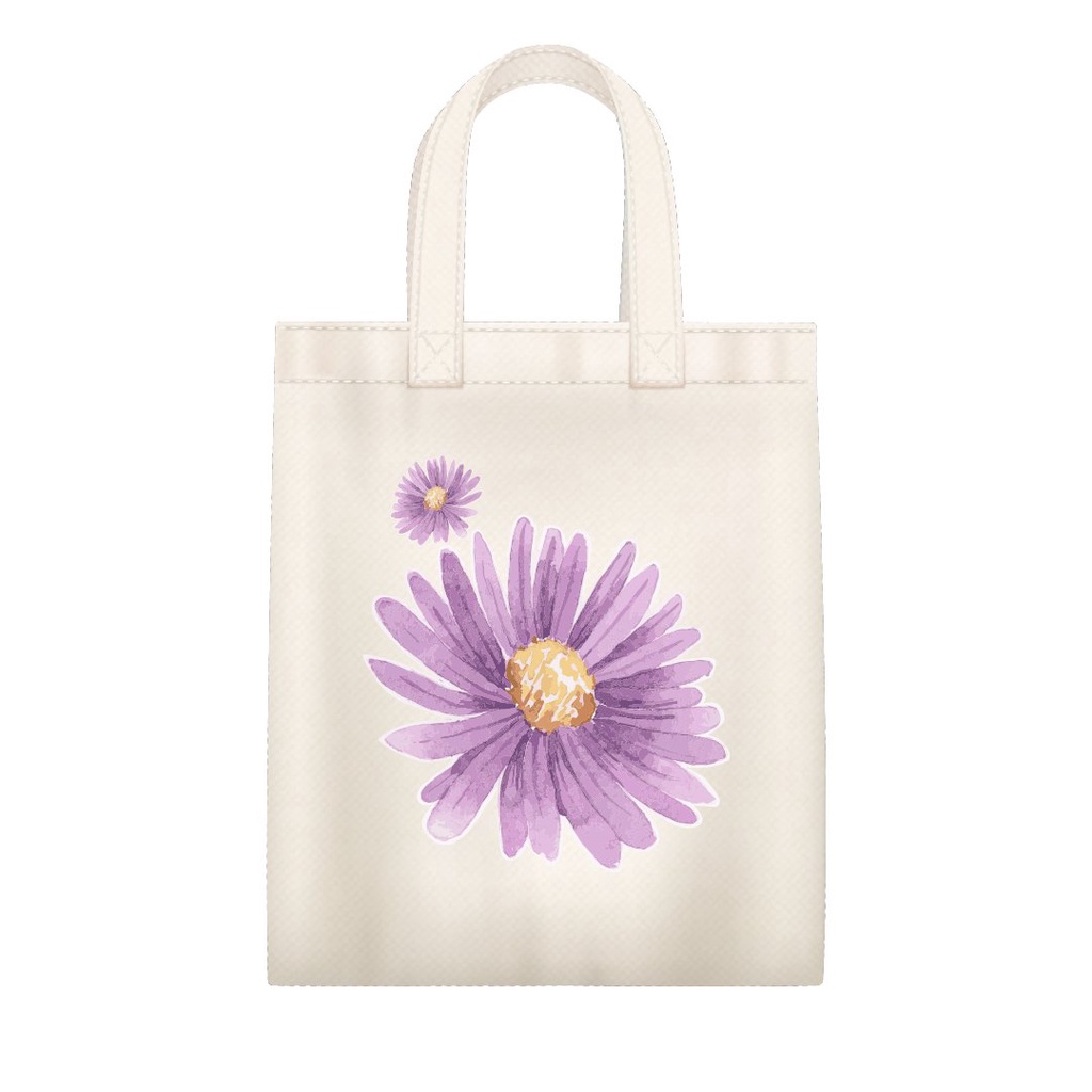 TÚI VẢI CANVAS IN HÌNH - ECO BAG SIZE LỚN
