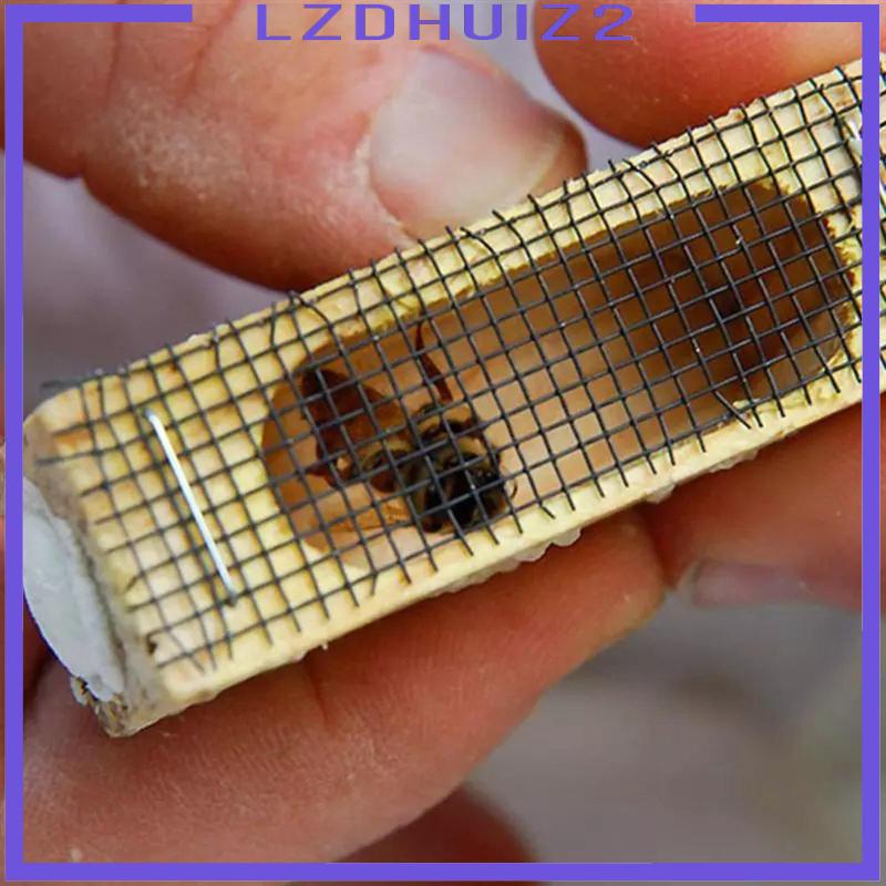 Set 5 Lồng Bắt Ong Chúa Chuyên Dụng Cho Nuôi Ong