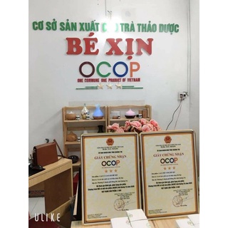 Cao chè vằng Bé Xịn