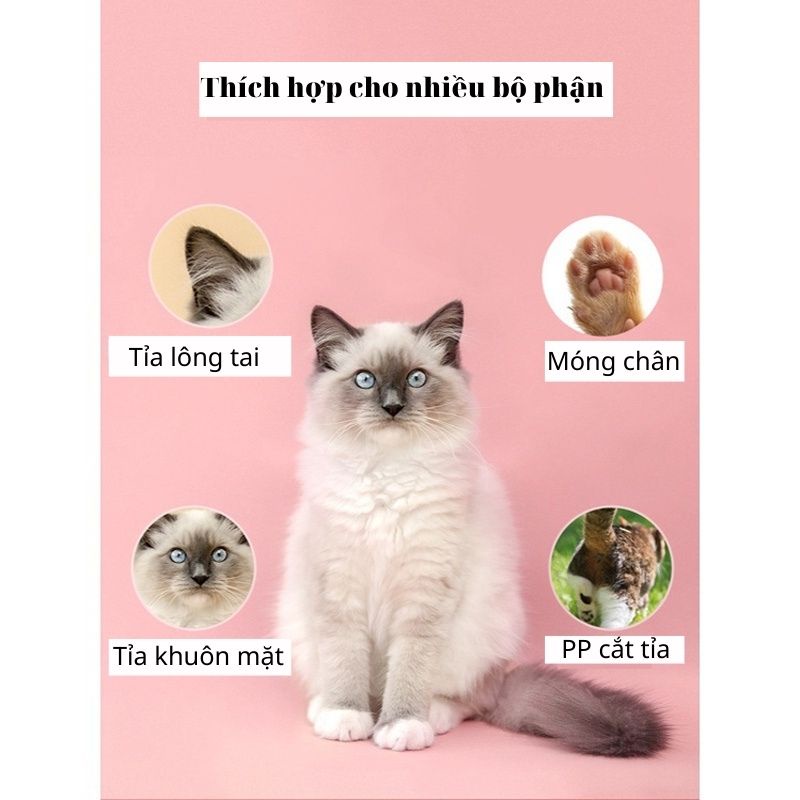 Tông đơ mini cắt, tỉa lông cho thú cưng, lông bàn chân, lông mi mắt, lông tai, làm đẹp cho chó mèo