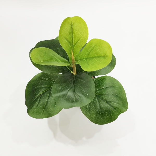 Cây Bàng Singapore Mini Cao 35cm - Cây Hoa Giả Trang Trí Lizflower [Không Kèm Chậu