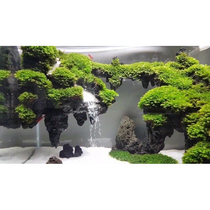 ĐÁ ĐEN GIA LAI TRANG TRÍ SET UP BỂ CÁ THỦY SINH 1KG