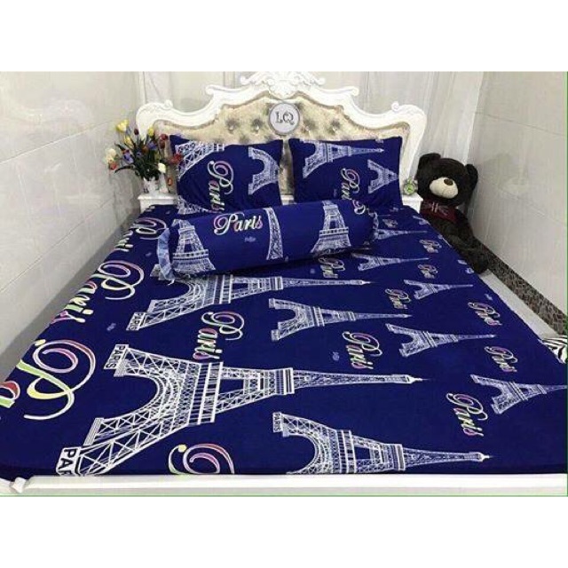 Combo set ga gối -+ ôm + chăn trần bông mey m6  số 38