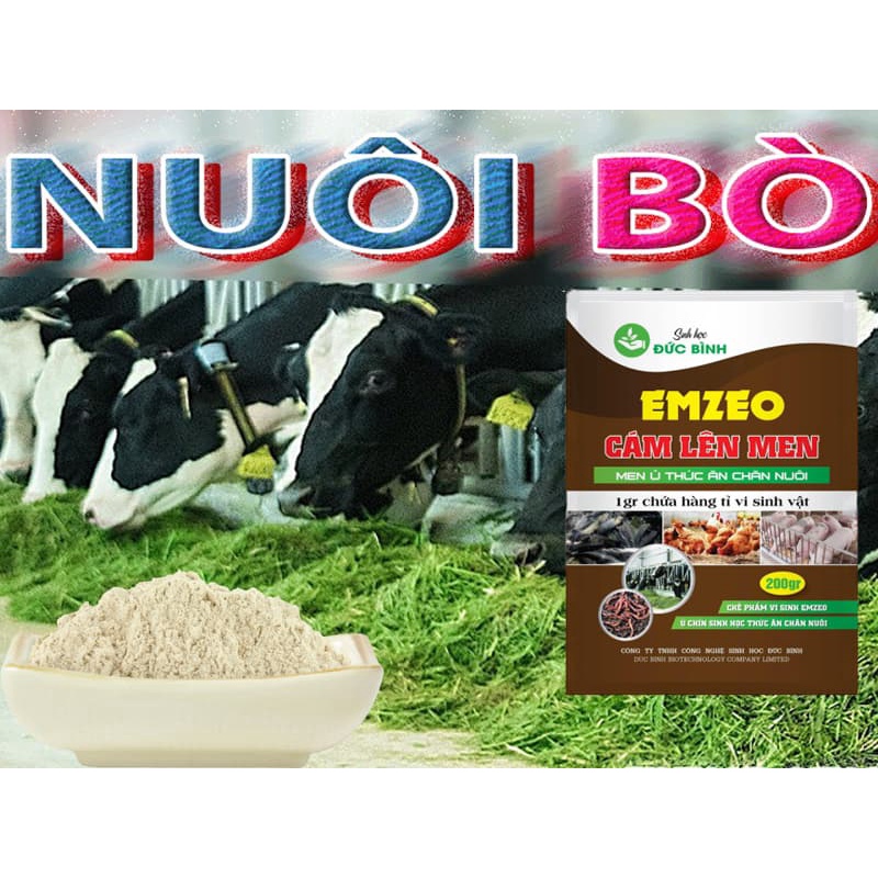 Men Vi Sinh Ủ Thức Ăn Cho Gia Súc, Gia Cầm