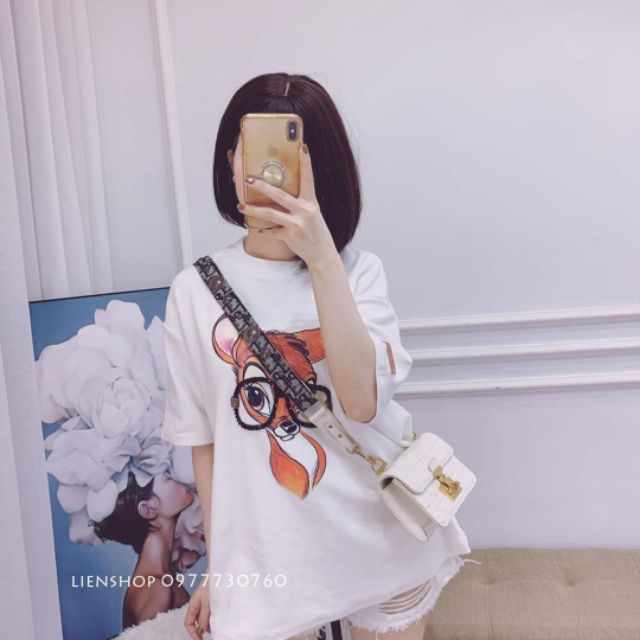 Áo phông giá rẻ